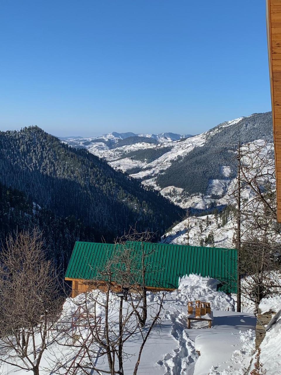 Elivaas 1 Bhk Premium Cottage With Sauna - Everly Shimla Exterior photo